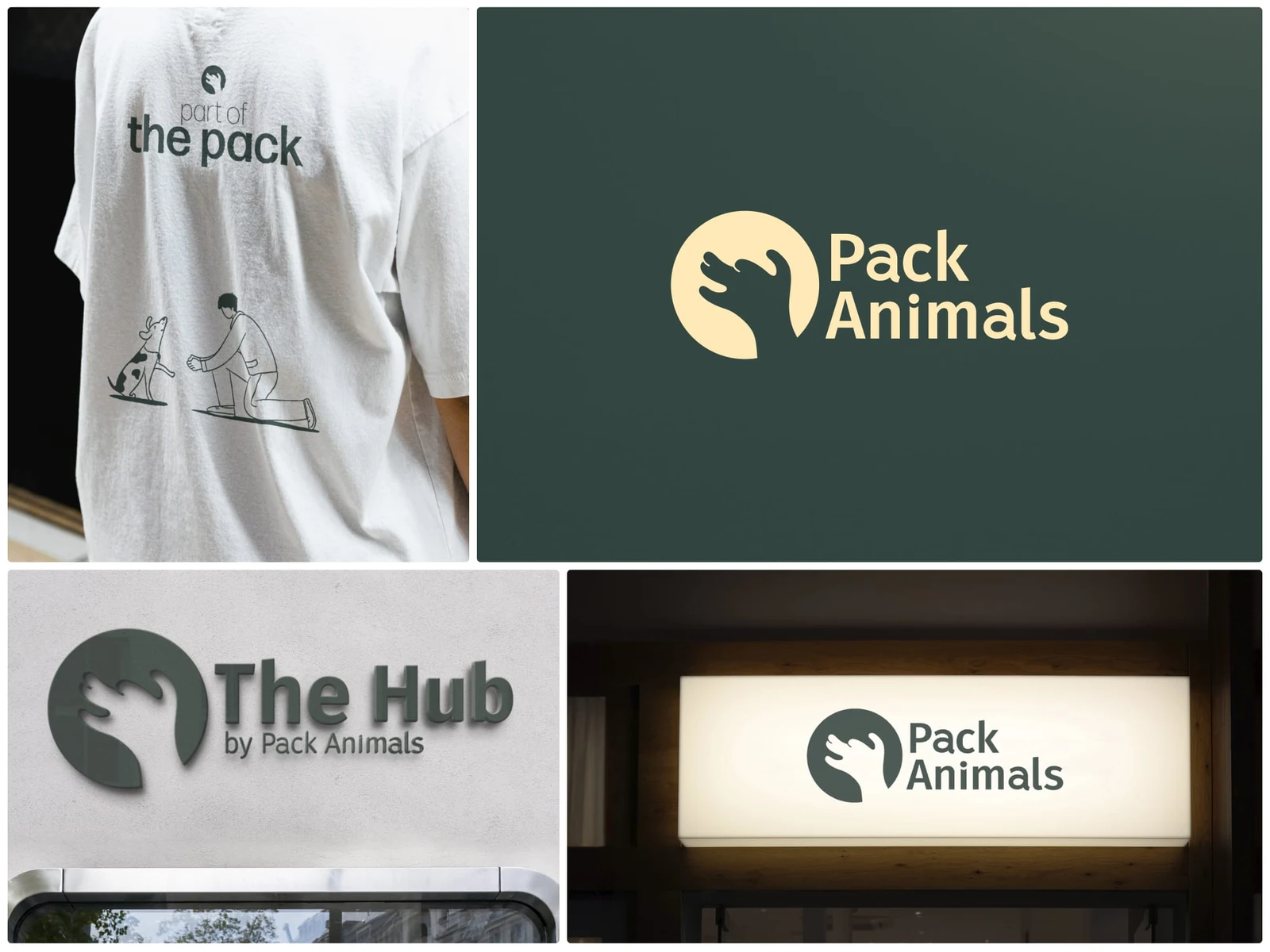 Pack Animals brand identity, illustrations, and signage