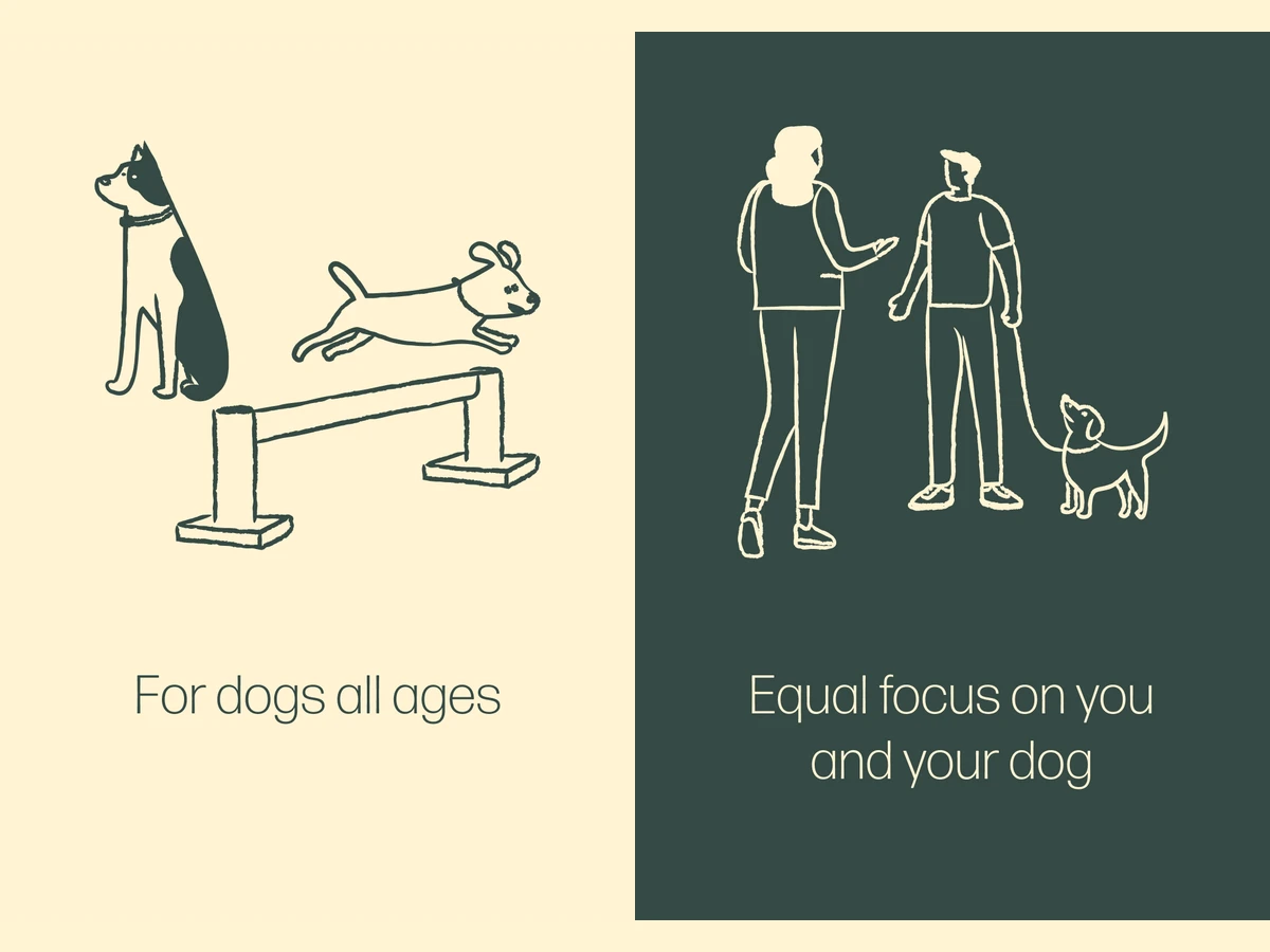 Pack Animals brand illustration system